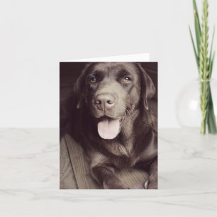 Schokolade Labrador Retriever Puppy Hund Note Card Karte