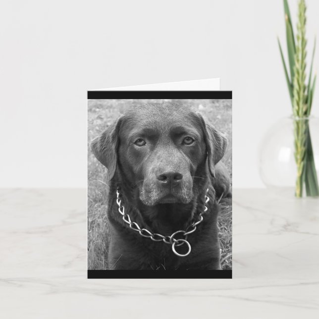 Schokolade Labrador Retriever Puppy Hund Note Card Karte (Vorderseite)