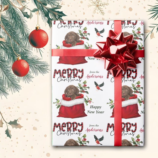 Schokolade Labrador Retriever Puppy in Geschenktas Geschenkpapier (Von Creator hochgeladen)