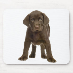 Schokolade Labrador Retriever Welpe Hund Mousepad