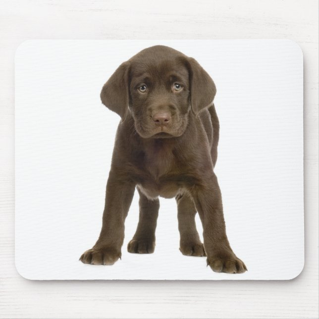 Schokolade Labrador Retriever Welpe Hund Mousepad (Vorne)