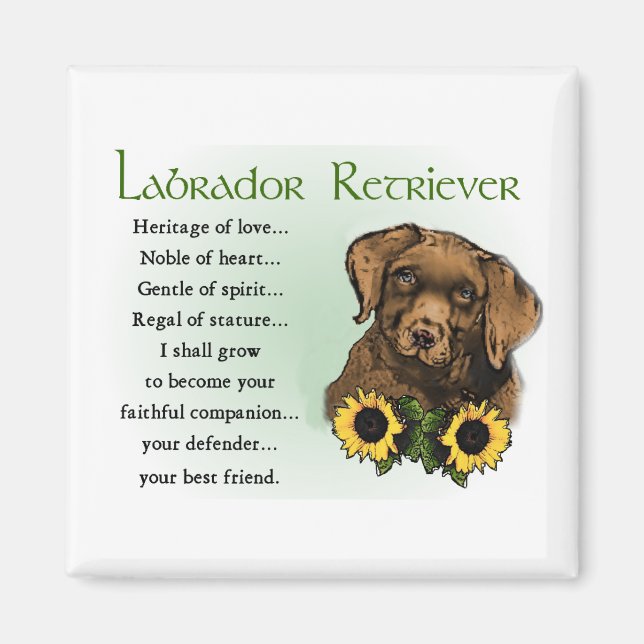 Schokolade Labrador Retriever Welpengeschenke Magnet (Vorne)