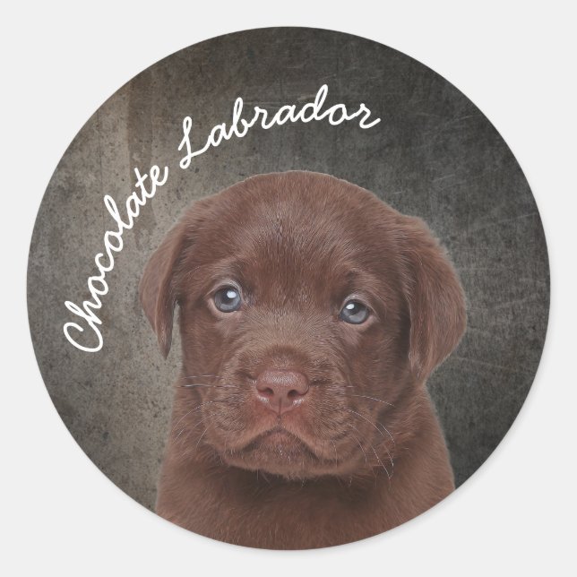 Schokolade Labrador Runder Aufkleber (Vorderseite)