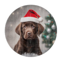 Schokolade Labrador