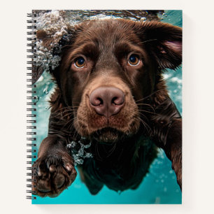Schokolade Labrador Schwimmen unter Wasser Notizbuch