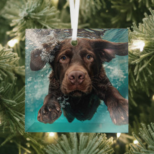 Schokolade Labrador Schwimmen unter Wasser Ornament Aus Glas