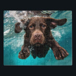 Schokolade Labrador Schwimmen unter Wasser Puzzle<br><div class="desc">Tauchen Sie ein in das verspielte Design mit einem schokoladen Labrador Welpe schwimmen unter Wasser. Der entschlossene Ausdruck der Jungfrau und die dynamischen Wasserblasen schaffen eine lebendige und einnehmende Szene, die perfekt für Hundeliebhaber und Wasserbegeisterte ist. Dieses Kunstwerk eignet sich ideal für eine Reihe von Produkten wie Wohngestaltung, Kleidung und...</div>