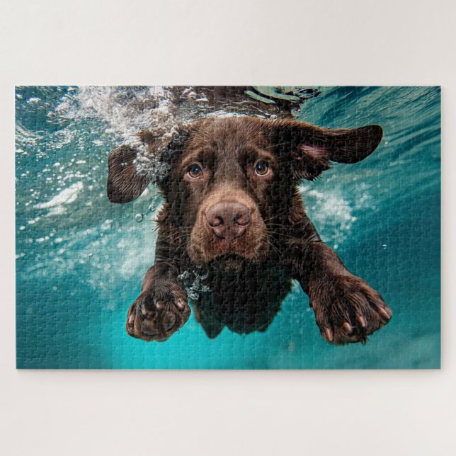 Schokolade Labrador Schwimmen unter Wasser Puzzle (Horizontal)