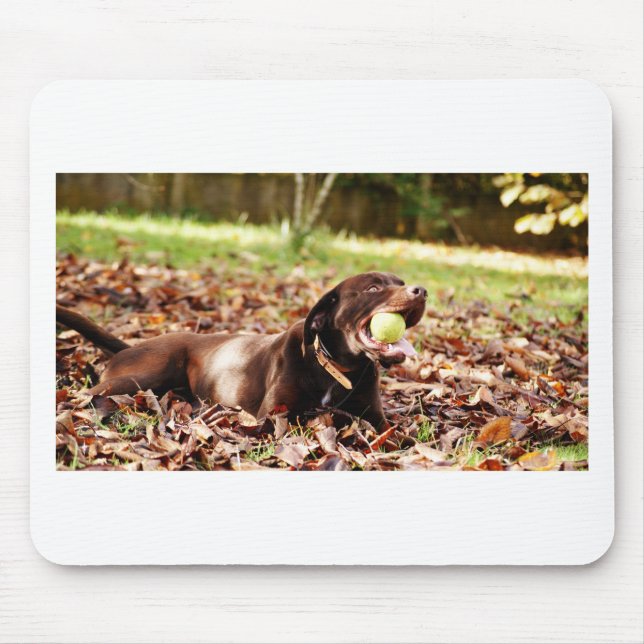 Schokolade-Labrador-Spiel mit Ball Mousepad (Vorne)