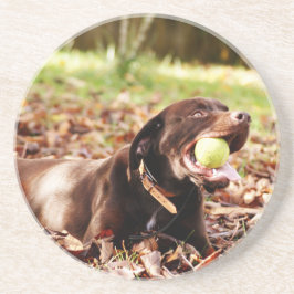Schokolade-Labrador-Spiel mit Ball Sandstein Untersetzer