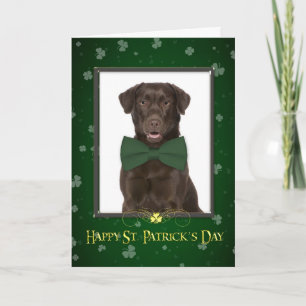 Schokolade Labrador St. Patrick's Day Card Karte