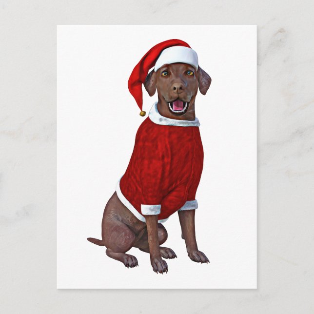 Schokolade Labrador Time for Christmas Postkarte (Vorderseite)