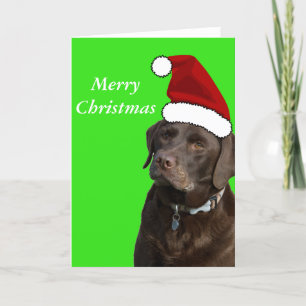 Schokolade Labrador Weihnachtskarte Feiertagskarte