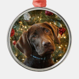 Schokolade Labrador Weihnachtsschmuck