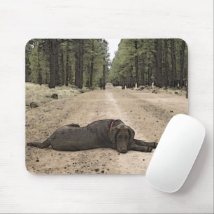 Schokolade Labrador Welpe auf einem Waldweg schnei Mousepad