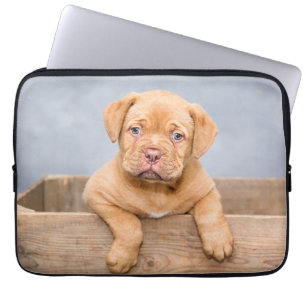 Schokolade Labrador Welpe Hund Brown Labrador Retr Laptopschutzhülle