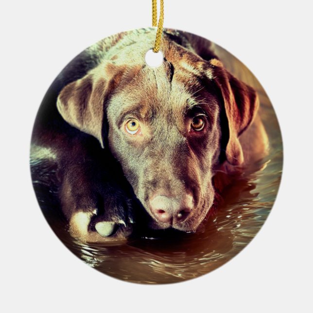 Schokolade Labrador Welpe Keramik Ornament (Vorne)