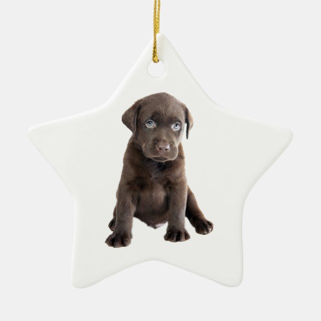 Schokolade-Labrador-Welpe Keramik Ornament (Vorne)