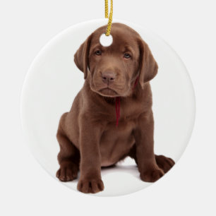 Schokolade Labrador Welpe Keramikornament