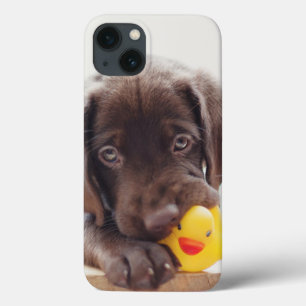 Schokolade-Labrador-Welpe mit Spielzeug-Ente Case-Mate iPhone Hülle