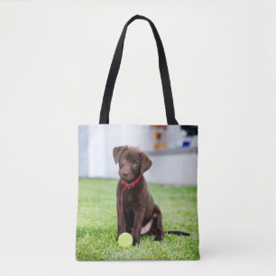 Schokolade-Labrador-Welpe mit Tennisball