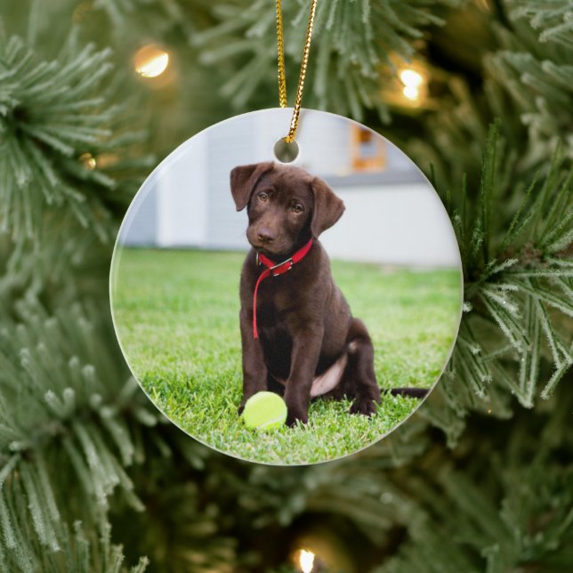Schokolade-Labrador-Welpe mit Tennisball Keramik Ornament (Baum)
