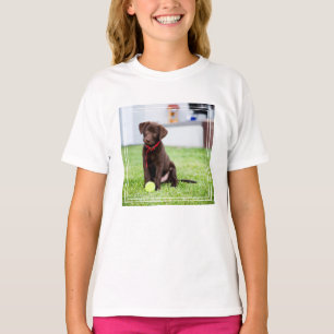 Schokolade-Labrador-Welpe mit Tennisball T-Shirt