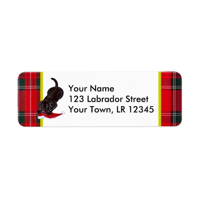 Schokolade Labrador Welpe mit Weihnachtsmannmütze  (Vorne)