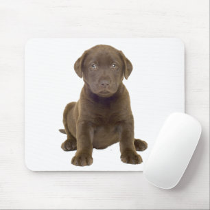 Schokolade Labrador Welpe Mousepad