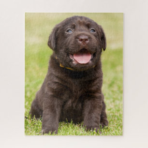 Schokolade Labrador Welpe Puzzle