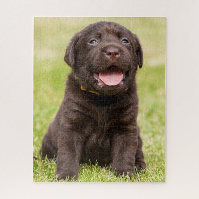 Schokolade Labrador Welpe Puzzle (Vertikal)