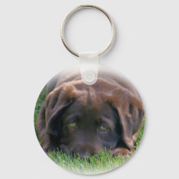 Schokolade Labrador Welpe Schlüsselanhänger