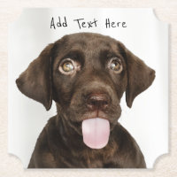 Schokolade Labrador Welpe