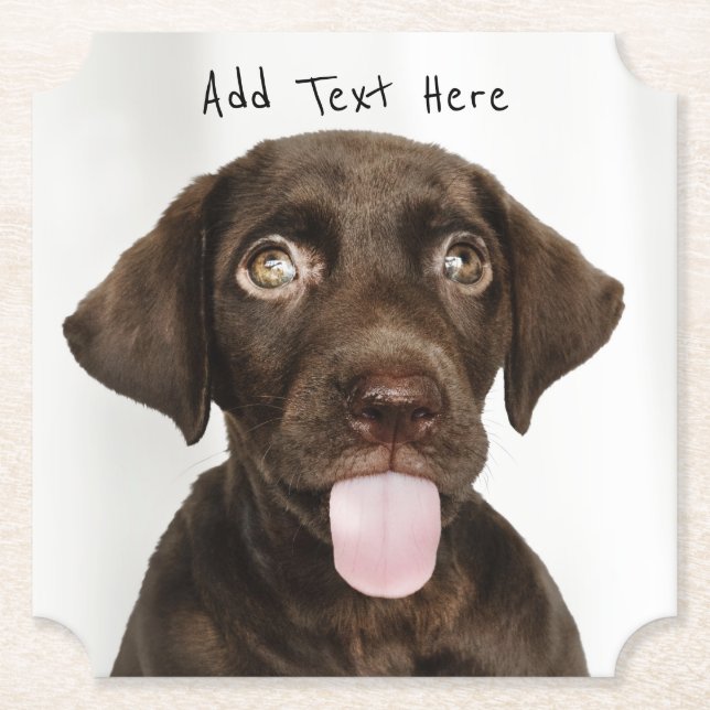 Schokolade Labrador Welpe Untersetzer (Vorderseite)