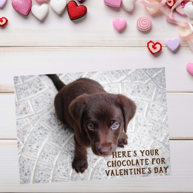 Schokolade Labrador Welpe Valentine's Day Meme Car (Von Creator hochgeladen)