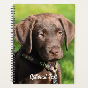 Schokolade Labrador Welpenhund Planer