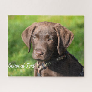 Schokolade Labrador Welpenhund Puzzle