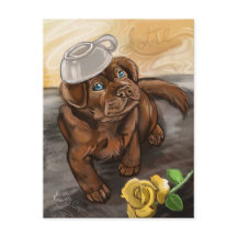 Schokolade Latte Labrador