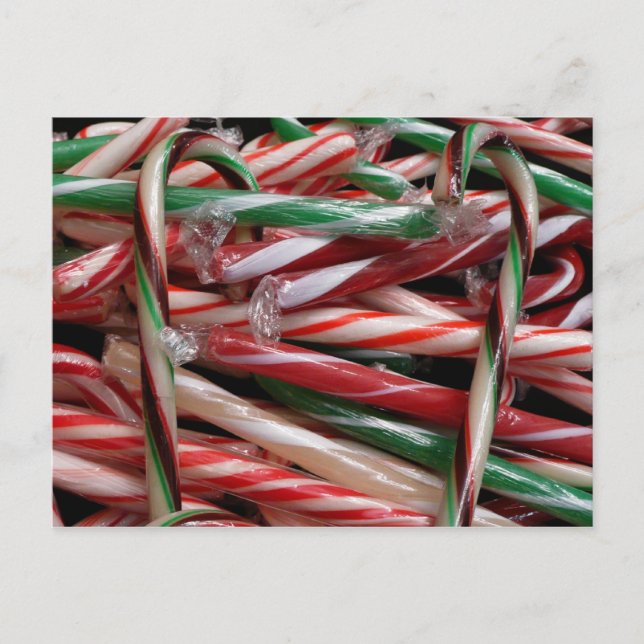 Schokolade Minze Candy Canes Holiday Festival Postkarte (Vorderseite)