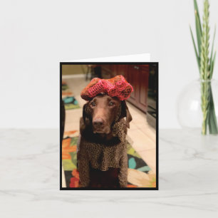 Schokolade Schönheit des Labradors Karte
