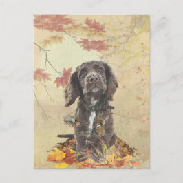 Schokolade-Spaniel-Welpe Postkarte