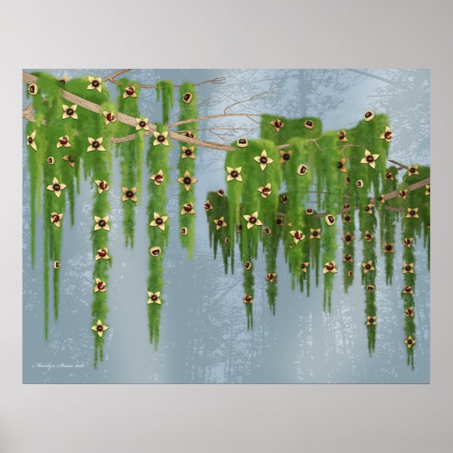 Schokolade Truffle Fantasy Tree Poster (Vorne)