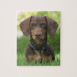 Schokolade und Dackel Puzzle