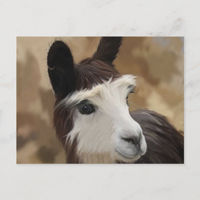 Schokolade und weiße Alpaca Postkarte (Vorderseite)