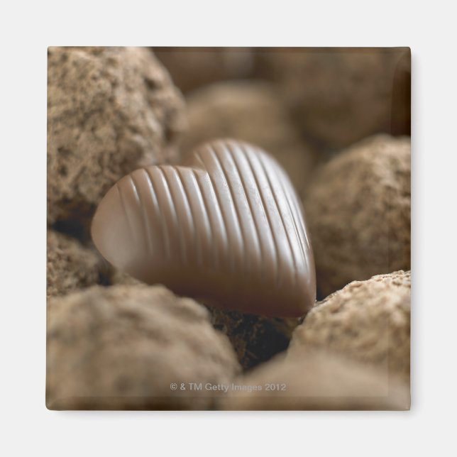 Schokolade unter anderen Schokoladen Magnet (Vorne)