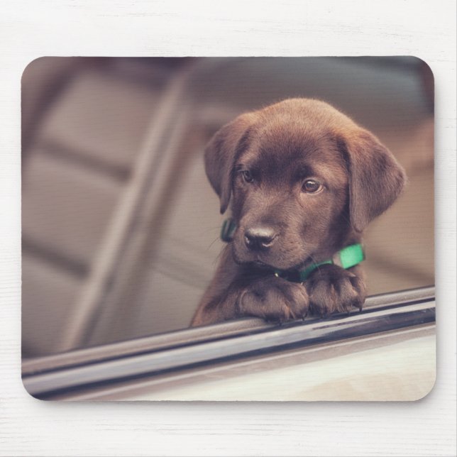 Schokolade-Welpe im Auto Mousepad (Vorne)
