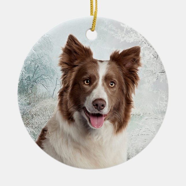 Schokoladen-Border-Collie-Verzierung Keramik Ornament (Vorne)
