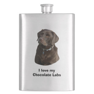Schokoladen-Labrador-HundeFotoporträt Flachmann