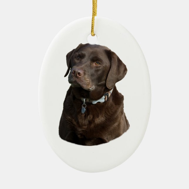 Schokoladen-Labrador-HundeFotoporträt Keramik Ornament (Vorne)