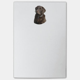 Schokoladen-Labrador-HundeFotoporträt Post-it Klebezettel